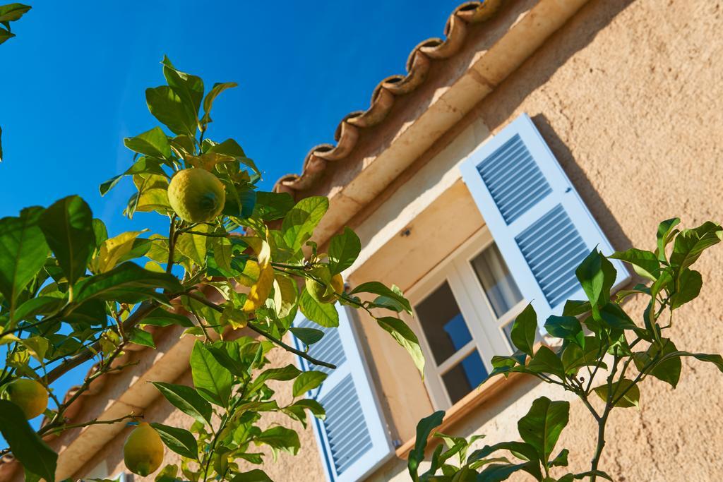 Hotel Protur Residencia Son Floriana Cala Bona  Exteriér fotografie